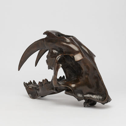 Bronze Sabertooth Tiger Skull (BR231, BR307, BR308, BR207)