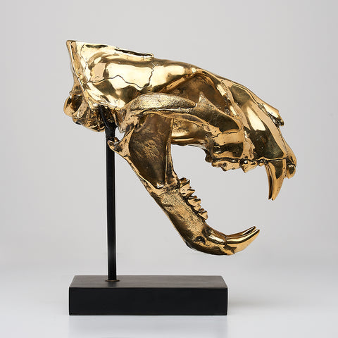 Sumatra-Tiger-Schädel