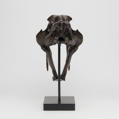 Bronze Sabertooth Tiger Skull (BR231, BR307, BR308, BR207)