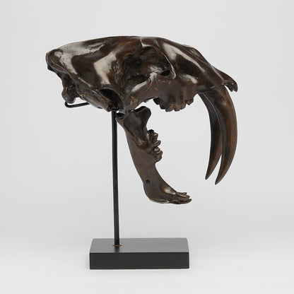 Bronze Sabertooth Tiger Skull (BR231, BR307, BR308, BR207)