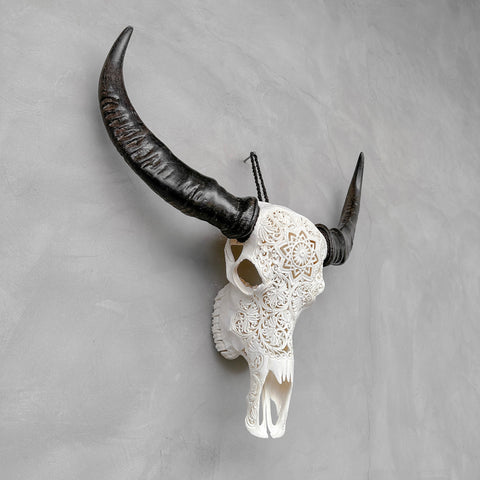 Konstellation | Handgeschnitzter Büffelschädel
