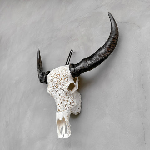 Konstellation | Handgeschnitzter Büffelschädel