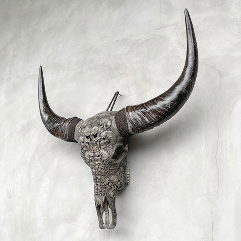 Schädel Kumis | Handgeschnitzter Büffelschädel