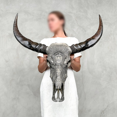 Eingeborener Indianer | Handgeschnitzter Büffelschädel