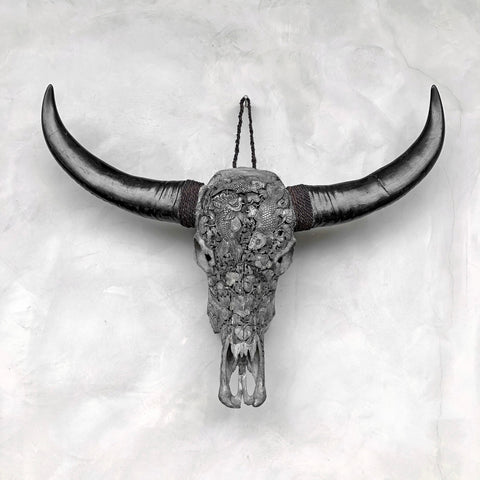 Koi-Symphonie | Handgeschnitzter Büffelschädel