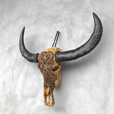 Herzensklänge | Handgeschnitzter Büffelschädel