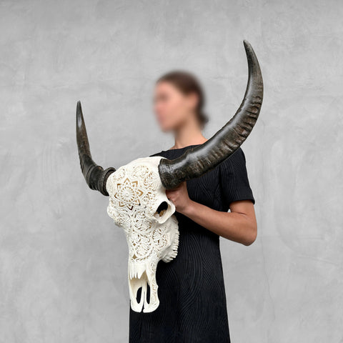 Konstellation | Handgeschnitzter Büffelschädel